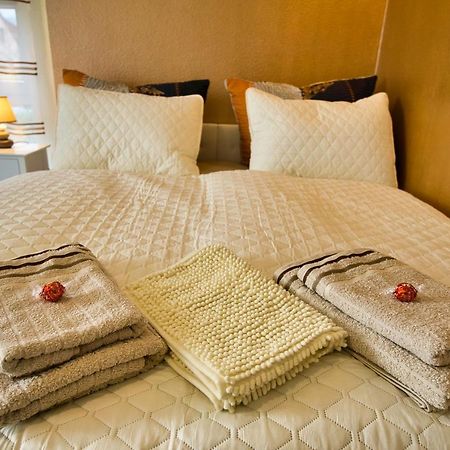 Mycozyplace - Zwei Gemuetliche Zimmer Fuer Vier دريسدن المظهر الخارجي الصورة